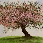 Tree in blossom by Judy Bugden