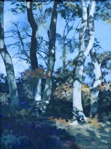 2019 Exhibition – Members’ vote winner