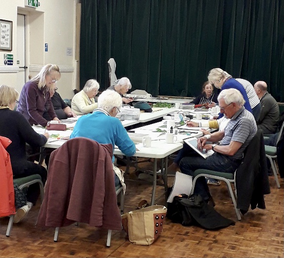 Painting Together – Drawing Workshop