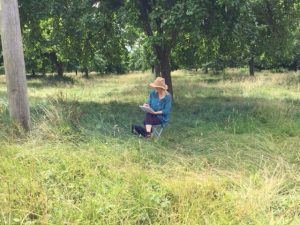 Painting at Baltonsborough